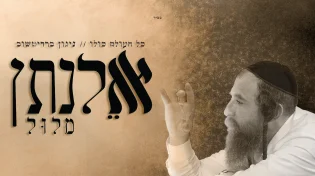 אלנתן מלול - כל העולם כולו | ניגון ברדיטשוב