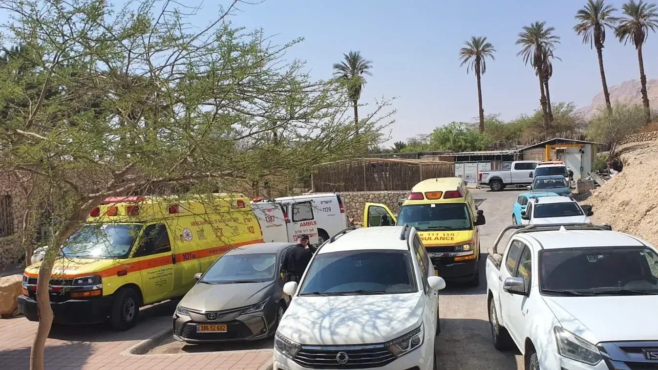 אסון בנחל דוד: ילד נהרג במפולת סלעים, 9 נפצעו אסון בנחל דוד: ילד נהרג במפולת סלעים, 9 נפצעו