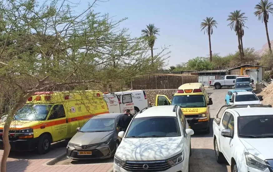 אסון בנחל דוד: ילד נהרג במפולת סלעים, 9 נפצעו אסון בנחל דוד: ילד נהרג במפולת סלעים, 9 נפצעו