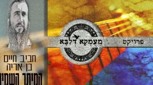 חביב חיים בן אריה - "המיתר השמיני"