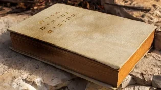 לאחר הסערה בשוודיה: הצעת חוק נגד פגיעה בספרי דת