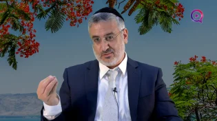 הרב חגי צדוק | כי-תבוא בואו נסתכל רגע על כל הטוב שיש