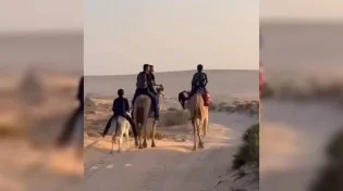 ההסעות לבית הספר שבתו אז התלמידים הגיעו על חמורים - צפו