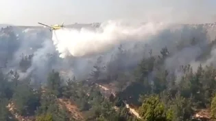 חשד להצתה: לוחמי האש התמודדו על להבות ענק
