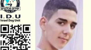 מירון: יחידת הכלבנים ביצעה סריקות אחר נעדר 