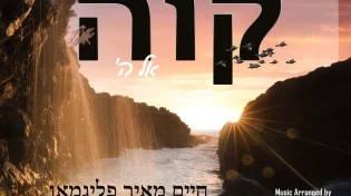 חיים מאיר פליגמן ולייזר וידר - "לולי האמנתי"