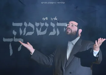 אריה וייס - "הנשמה לך"