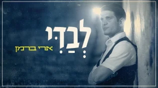 ארי&nbsp;ברמן - "לבדי"
