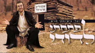 שמוליק&nbsp;שינדלר - "פתחתי לדודי"