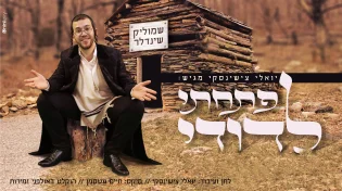 שמוליק&nbsp;שינדלר - "פתחתי לדודי"