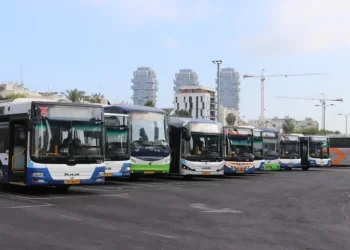 בשורה: מחירי התחבורה הציבורית ירדו באופן משמעותי