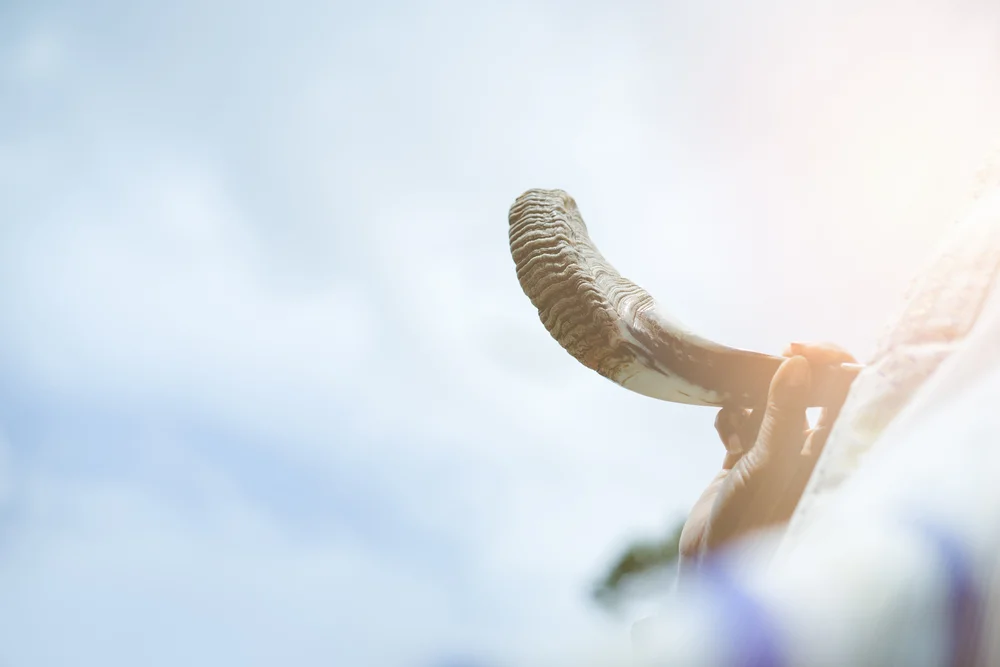 מתי יום כיפור 2023? זמני כניסת ויציאת החג – תשפ"ד