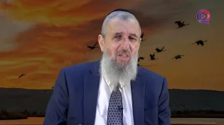 הרב דניאל אוחיון | בחודש התשיעי להריון על סולם ב-2 בלילה