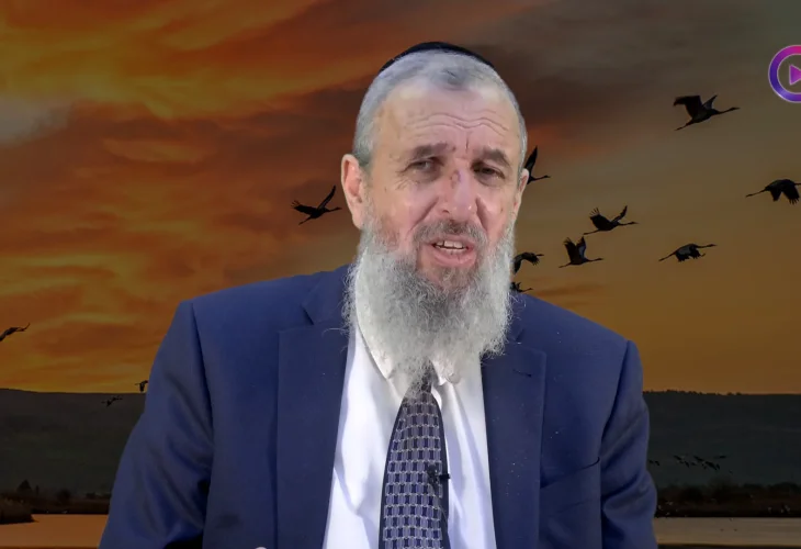 הרב דניאל אוחיון | בחודש התשיעי להריון על סולם ב-2 בלילה