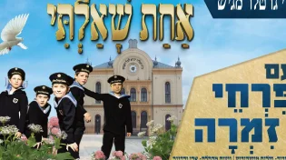 פרחי זמרה - "אחת שאלתי"