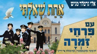 פרחי זמרה - "אחת שאלתי"