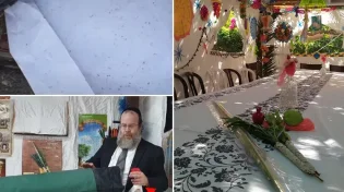 הכרחי לדעת: מה אתם יודעים על הסכך שלכם?