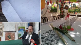 הכרחי לדעת: מה אתם יודעים על הסכך שלכם?