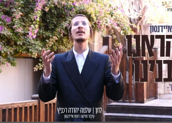 פסח איידנסון - "והראינו בבנינו"