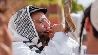 תועים וטועים בדרכנו: הסרטון שמחבר אותנו לרבי נחמן