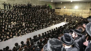 איך נראה שמחת בית השואבה בהילוך מהיר?
