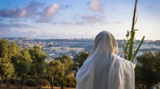 נצלו את היום: סגולות ומנהגי יום הושענא רבא