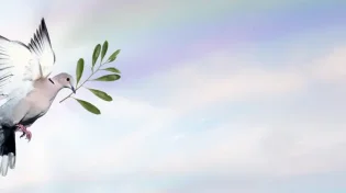 מהי מודעות ריגשית, ואיך היא יכולה לעזור לכם בזמן מלחמה?