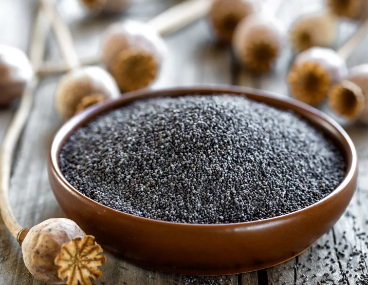 מה הקשר בין זרעי פרג להפחתת חרדות? מה הקשר בין זרעי פרג להפחתת חרדות?