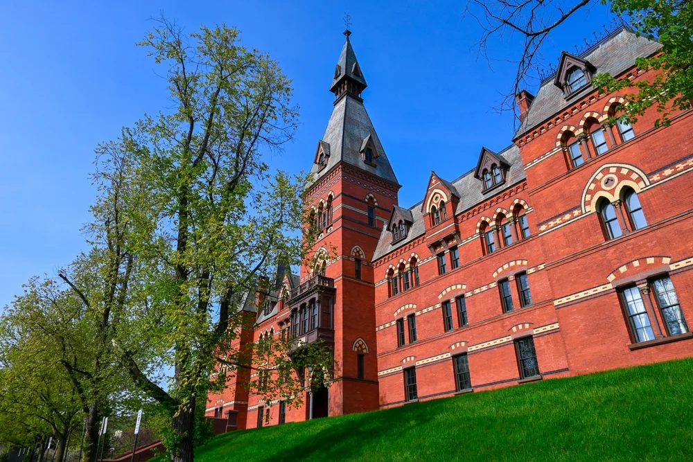 בשל איומים: סטודנטים יהודים בני יורק הונחו להתרחק מהקמפוס 