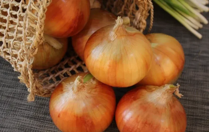 למה לאכול בצל דווקא עכשיו? למה לאכול בצל דווקא עכשיו?