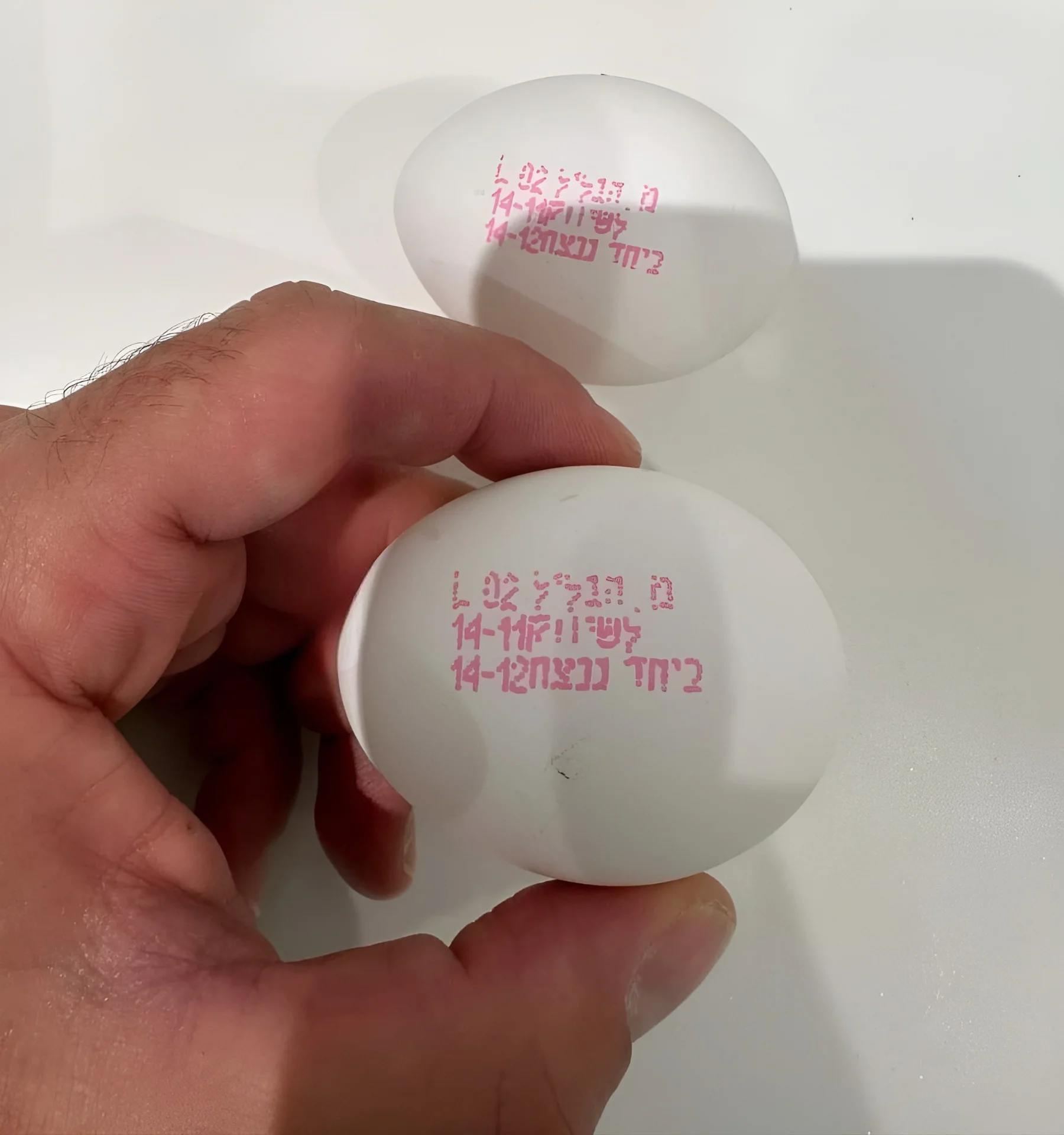 גם על הביצים מוטבעת החותמת "ביחד ננצח"