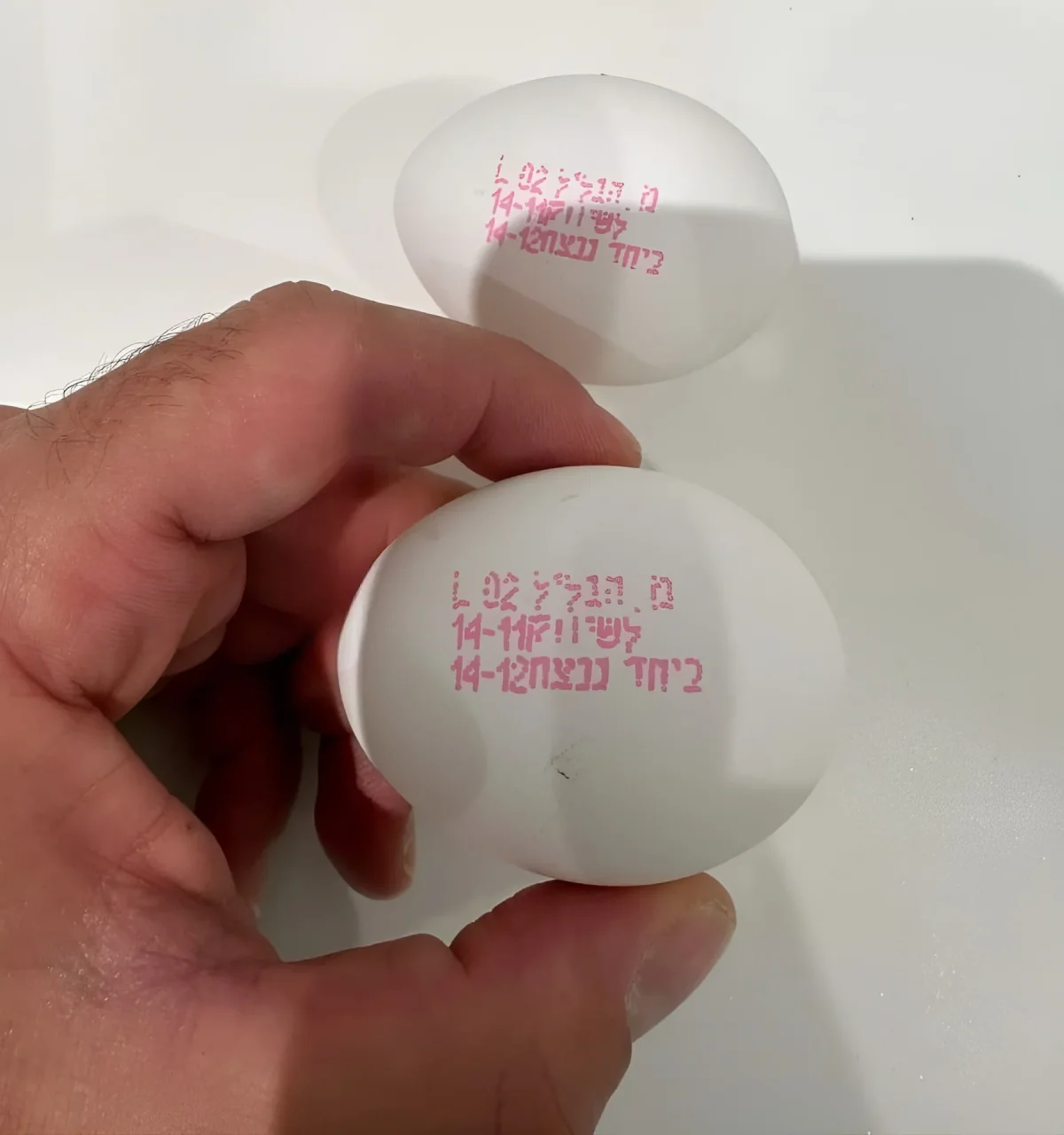 גם על הביצים מוטבעת החותמת "ביחד ננצח"