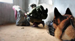 תיעוד מטורף: הכלב הצה"לי התנפל על המחבלים במנהרות