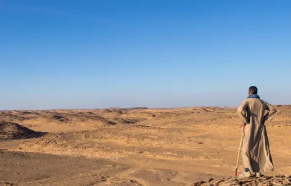 מיליון דולר למי שייסיע: המשפחה הבדואית הבטיחה נקמה במחבלים 