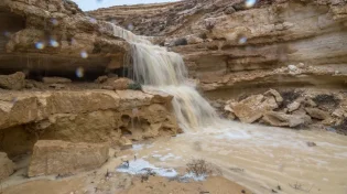 צפו: הגשמים הראשונים שגרמו להצפות במדבר