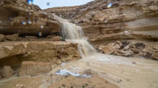 צפו: הגשמים הראשונים שגרמו להצפות במדבר