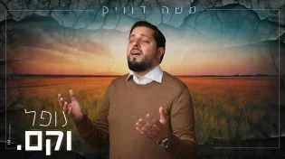 משה דוויק - "נופל וקם"