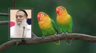 איך מתמודדים עם זוגיות בימי מלחמה?