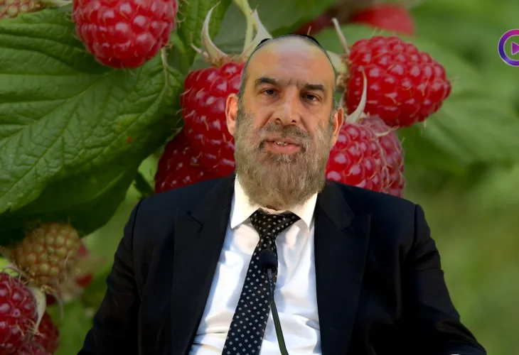 הרב עזרא שקלים | תפילות השבת