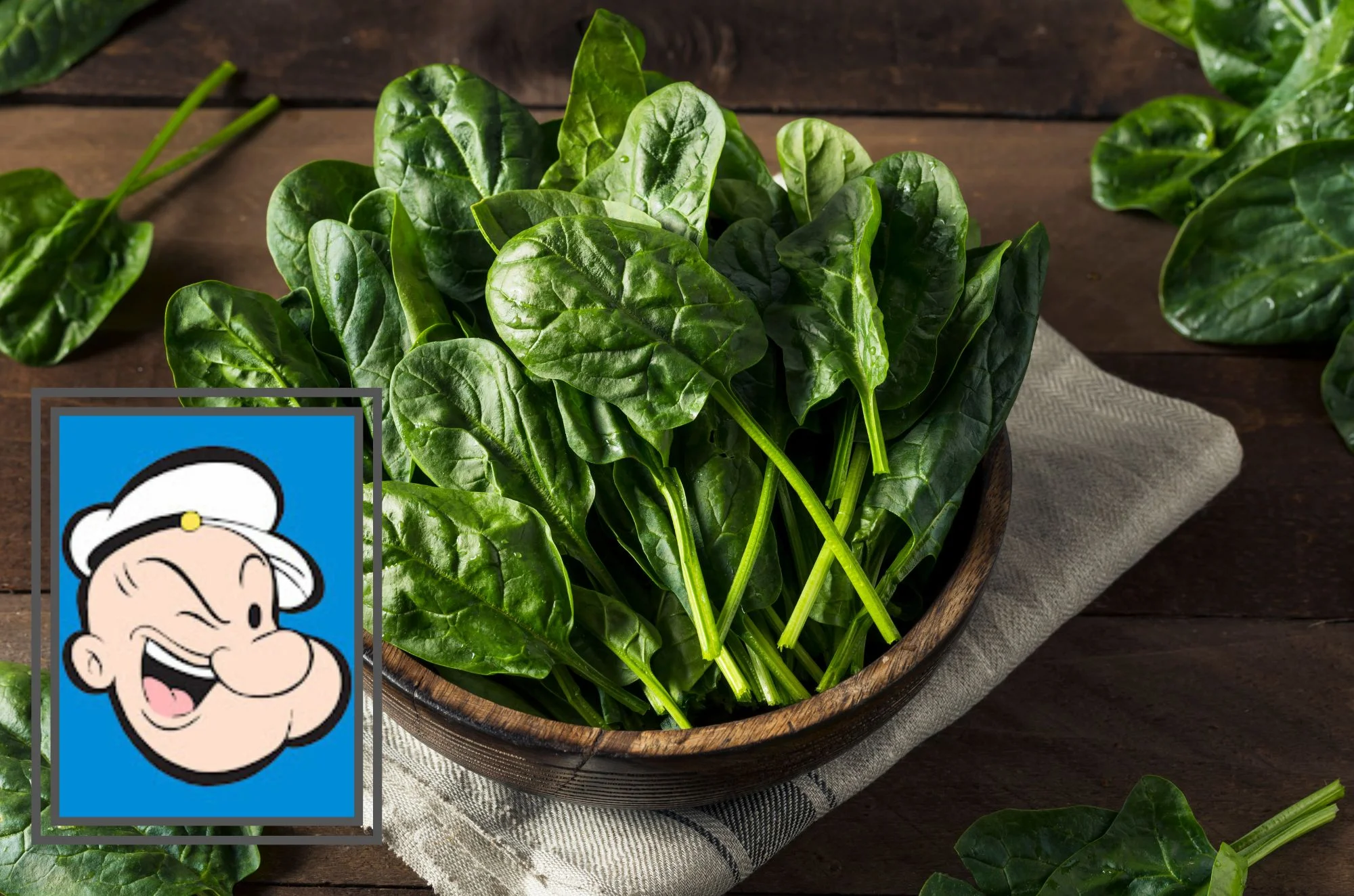 10 דברים שאולי לא ידעתם על התרד 10 דברים שאולי לא ידעתם על התרד