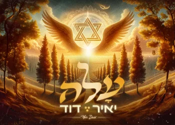 יאיר דוד – "עלה"