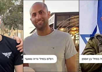 הותרו לפרסום שמותיהם של שלושה לוחמי צה"ל שנפלו בקרבות אמש 