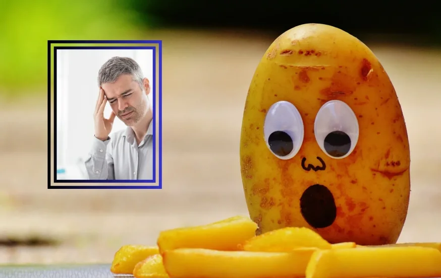 קרדיט: canva קרדיט: canva