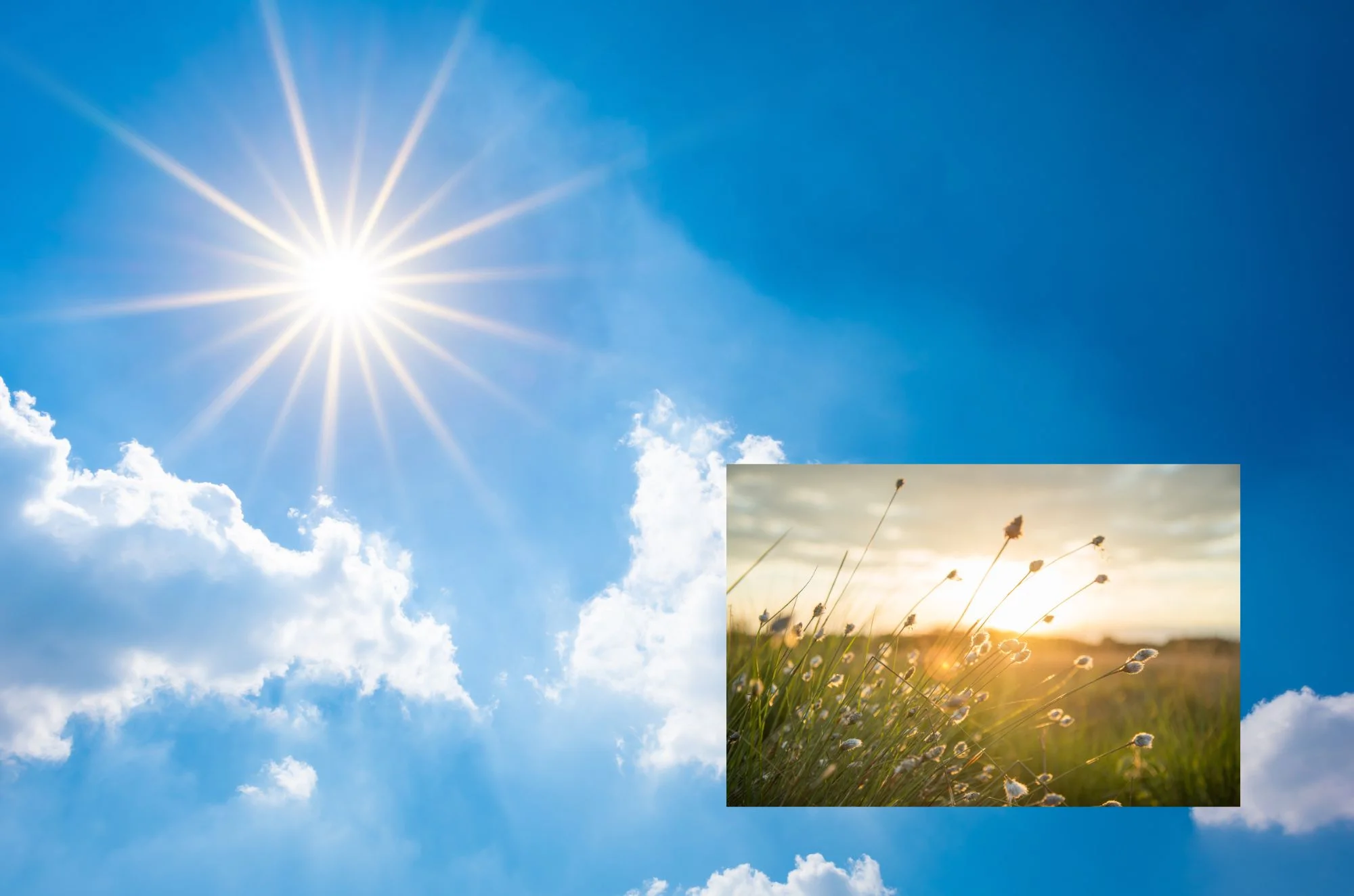 צאו לשמש ולאור היום. זה לטובתכם 