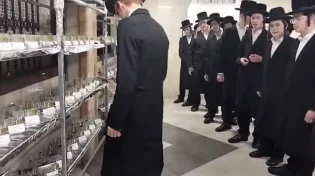138 חנוכיות כנגד מניין החטופים: המיזם המרגש של בחורי הישיבה