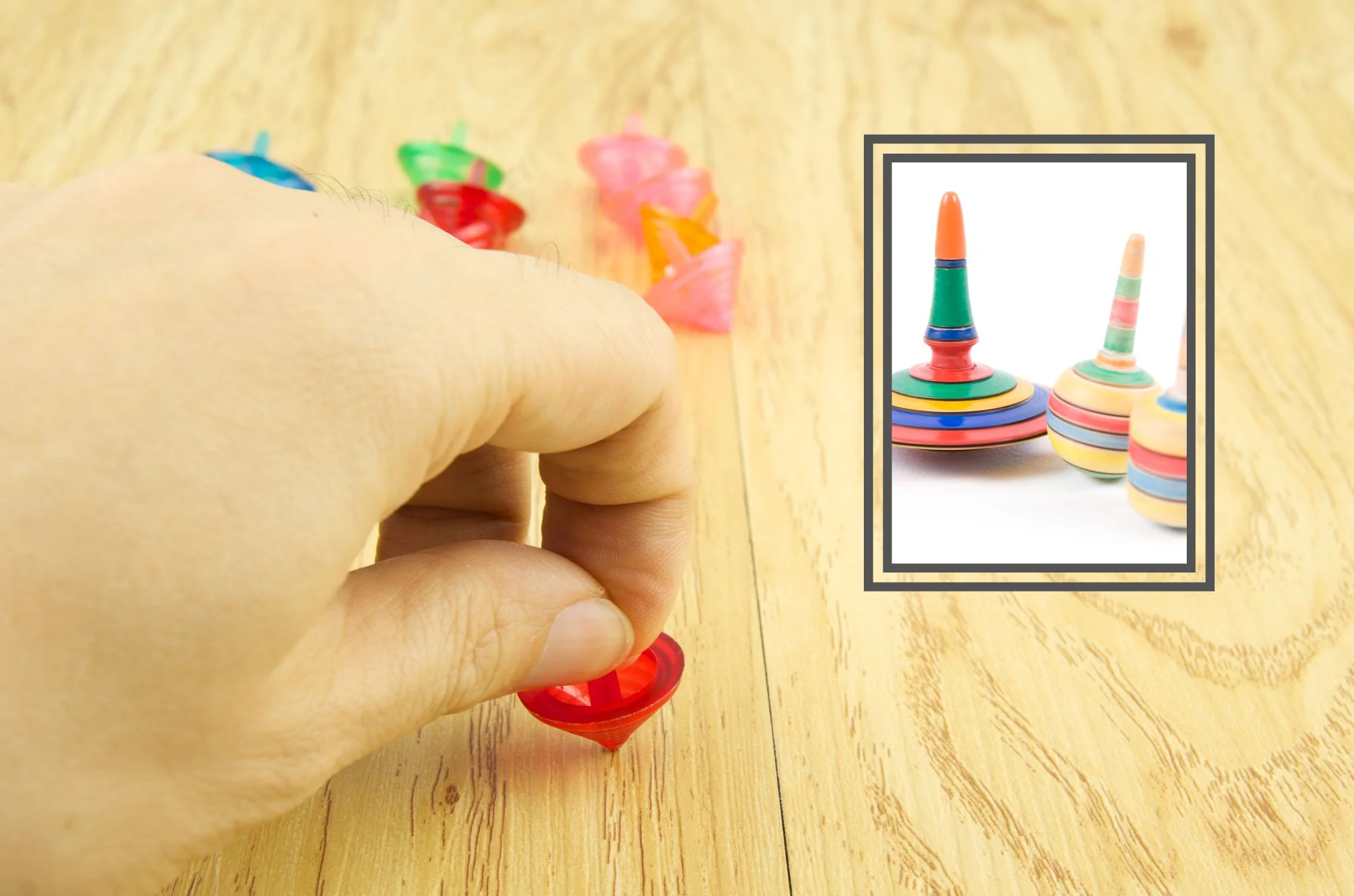 3 עובדות על סביבונים שאולי לא הכרתם 3 עובדות על סביבונים שאולי לא הכרתם