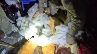 לראות ולא להאמין: זה מה שנמצא בתוך בובה בעזה