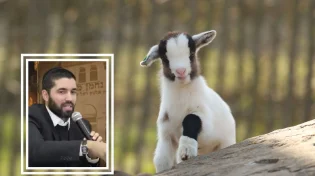 הרב שניר גואטה על ה'פכים' הקטנים: 'אל תזלזלו במצוות הקטנות'