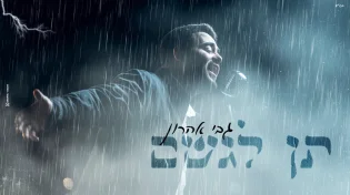גבי אהרון - "תן לגשם"
