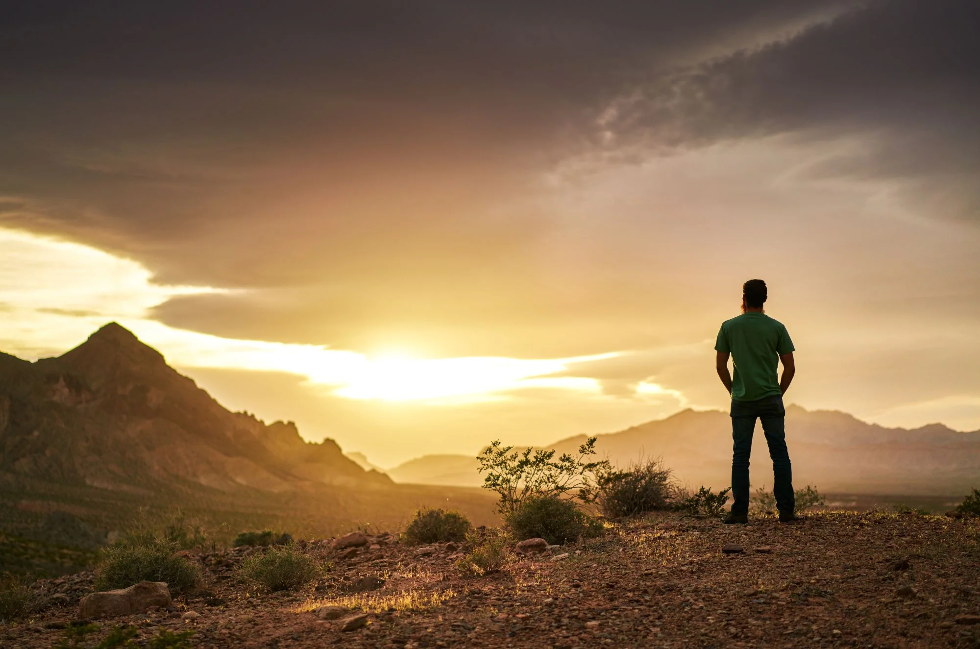 הסגולה החשובה שאסור לכם לפספס 